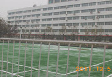 天津中国石油集团工程技术研究院门球场施工